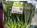 【24小时菜】菠菜苗250g(长度≤20cm) 实拍图