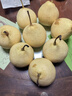 河北鸭梨新鲜10斤应当季水果现摘正宗水晶酥白梨雪梨整箱包邮梨子 净重5斤尝鲜小果 实拍图
