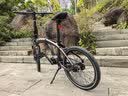 TOFA折叠自行车T1经典20英寸中置内变速折叠车成人男女士学生折叠单车 雾境灰 20英寸 实拍图