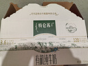蒙牛特仑苏有机纯牛奶250mL*12盒 品质奶源 年货礼盒 电商定制 实拍图