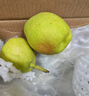 京鲜生 新疆库尔勒香梨 净重4.5斤 单果140g以上 生鲜水果 礼盒装 实拍图