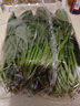 大菠菜300g 实拍图