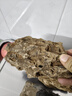 悠梵萌鱼缸松皮石造景石假山天然小块碎石多孔真石头盆景5斤5-15cm 实拍图