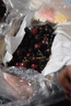 田良季智利进口车厘子【JD-多地次日达】新鲜生鲜大樱桃水果送礼品物盒 2斤(净重) 礼箱装【较划算】 超级巨无霸 4J 32-34mm丨蕞大蕞甜 实拍图