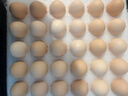 京鲜生柴鸡蛋30枚 3斤 无抗生素 谷物喂养鲜鸡蛋 源头直发 实拍图