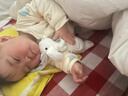 澳贝（auby）婴幼儿玩具小兔安抚巾宝宝哄睡神器阿贝贝新生儿毛绒手偶满月礼物 实拍图