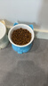 憨憨乐园猫碗陶瓷猫粮双碗斜口狗碗狗盆狗粮宠物幼猫咪吃饭食盆喝水喂食 实拍图