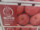京鲜生 烟台红富士苹果 净重10斤 单果190g以上  春节也送货 实拍图