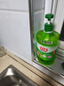 立白茶籽洗洁精2.9kgA类去污99%除菌去油不伤手洗涤灵洗碗液随机发货 实拍图