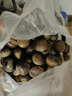 丹东新鲜板栗生栗子当季5斤现摘毛油栗子嫩板栗锥栗整箱生鲜蔬 5斤 【严选大果】净重4.5斤 实拍图