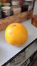 京地达柚子福建黄金葡萄柚西柚甜柚水果年货净重4.5斤单果250g+源头直发 实拍图