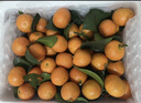 京鲜生 正宗广西砂糖橘礼盒  净重8斤 单果40-55mm年货礼盒源头直发包邮 实拍图