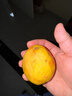 京觅福建红心白心 奶油双拼芭乐 番石榴单果150g起 净重3斤装源头直发 实拍图