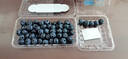 云南8分甜高山蓝莓125g(18mm) 实拍图