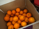 京鲜生 冰糖橙/橙子 9斤装 单果150-200g 生鲜水果年货礼盒 实拍图