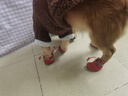 嘉派特宠物驱虫药猫咪狗犬用体内外同驱一体去虱子跳蚤宠物除虫药 0.67ml*1瓶 【犬用外驱】到手1支外驱 实拍图