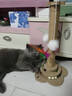 HELLOJOY猫抓柱剑麻猫抓板猫玩具耐抓耐磨不掉屑猫爬架立式自嗨解闷用品 实拍图