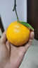 京觅四川春见耙耙柑粑粑柑年货水果净重4.5斤单果160g+源头直发包邮 实拍图