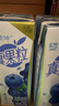 蒙牛真果粒蓝莓味牛奶饮品250g*12盒 小黄鸭IP 礼盒新老包装 含乳饮料 实拍图