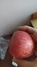 正宗水果烟台脆甜多汁水果青红富士批发新鲜水果 2.5斤 实拍图