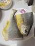 海名威宁德三去大黄鱼 对半厚切黄花鱼 净重700g/2片 海鲜水产 年货节 实拍图