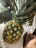 京鲜生 海南金钻凤梨  2个装 单果2斤起  生鲜水果 实拍图
