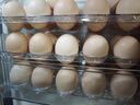 京鲜生可生食标准鲜鸡蛋30枚礼盒装3斤 源头直发 实拍图