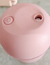 加湿器家用空气加湿器净化器香薰机空调房加湿器喷雾器usb静音卧室孕妇婴儿喷雾宿舍学生女生礼物 标准款【少女粉220ML+纳米雾化+静音加湿】 实拍图