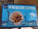 鲜京采 开背去虾线海白虾3斤装 大号45-60只 实拍图