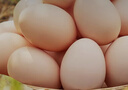 京鲜生【每日鲜蛋】无抗谷物鸡蛋30枚3.78斤 当日产蛋 当日发货 实拍图