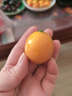 京鲜生 脆蜜金柑小糖豆 净重1斤 单果18g起 生鲜水果 实拍图