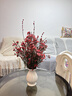 漫生活法式陶瓷花瓶插花水养花瓶摆件客厅轻奢高级感复古美式玫瑰奶油风 实拍图