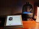 哈曼卡顿 音乐琉璃四代【政府补贴】蓝牙音箱 家庭影院音响 居家艺术音箱 新年礼物 琉璃4 黑金典藏版 实拍图
