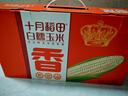 十月稻田 白甜糯玉米 8根 4.16斤 东北鲜黏玉米棒 低脂早餐苞米 新年礼盒  实拍图