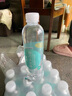 依能薄荷味苏打水饮料 无糖无汽弱碱0脂 500ml*24瓶 塑膜装可饮用饮品 实拍图