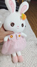 威尔通（WELTSTON）毛绒玩具布娃娃抱枕安抚玩偶儿童生日新年礼物礼品女小白兔子公仔 实拍图