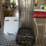 特大号轻奢创意简约玻璃花瓶透明水养鲜花北欧ins风客厅插花摆件 【20高】烟灰太阳花 实拍图