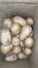 仙果春天土豆新鲜2025新土豆农家马铃薯黄皮黄心包邮 黄皮黄心土豆5斤 实拍图