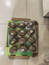 佳沛（zespri）意大利 阳光金奇异果12粒年货礼盒特大果单果约122-146g 猕猴桃 实拍图
