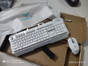 狼蛛（AULA）T101真机械手感键盘鼠标套装 有线键鼠套装 游戏办公电脑键盘 混光 吃鸡套装 金属面板 银白 实拍图