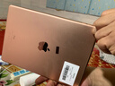 苹果/Apple iPad5/6/7/8/9/ mini1/2/3/4/5/6二手平板电脑 95新(10.2寸)19款ipad7代-128G 【wifi版】 实拍图