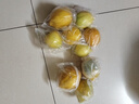 广东香水黄柠檬包邮新鲜水果柠檬精选皮薄奶茶店专用整箱 现货 柠檬带箱2斤单果70g+约10-18个 实拍图