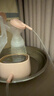 新贝  吸奶器 电动吸奶器无痛全自动  拔奶器 大吸力便携吸乳器8768 实拍图