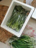 京鲜生 云南现摘新鲜韭菜饺子馅净重5斤 农家自种 新鲜蔬菜源头直发包邮 实拍图
