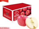京鲜生 烟台红富士苹果 净重10斤  单果160g以上 水果礼盒 实拍图