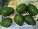 京鲜生 智利进口牛油果 大果6粒装(非即食)单果重130g起 生鲜水果 实拍图