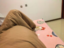 宜家（IKEA）BRUKSVARA布瓦拉空调被学生宿舍春夏被保暖被纤维被四季被 冬被-特暖被200x230cm 实拍图