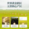 稻可道2025京东新米【新国标 特等有机五常大米】10斤装 原粮稻花香2号  实拍图
