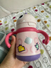 babycare儿童保温杯婴儿宝宝吸管水杯霸王龙不锈钢保温杯300ml-新旧款混发 实拍图
