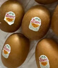 佳沛（zespri）意大利 阳光金奇异果12粒年货礼盒特大果单果约122-146g 猕猴桃 实拍图